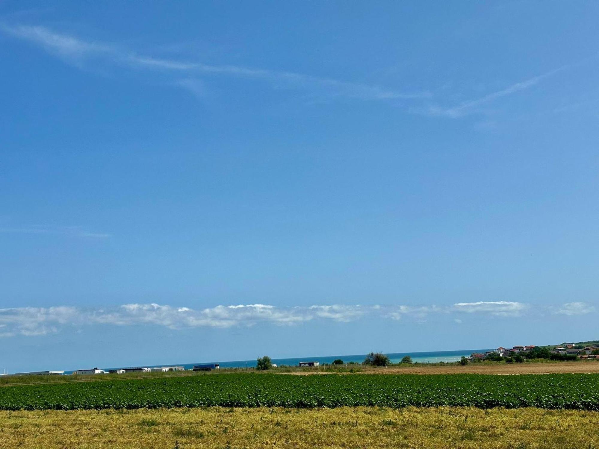 Vila Carmen Vama Veche Exterior foto